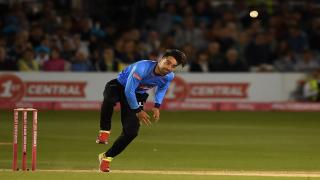 Rashid Khan Adelaide Strikers
